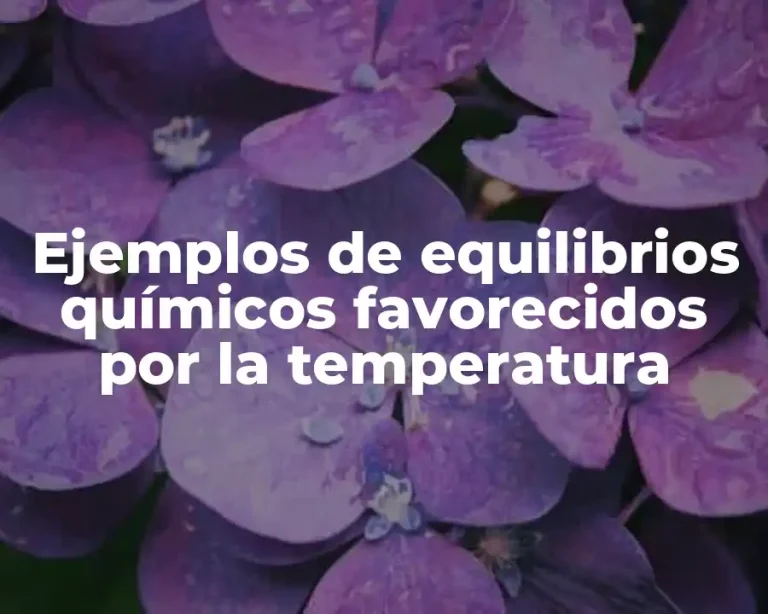 Ejemplos de equilibrios químicos favorecidos por la temperatura