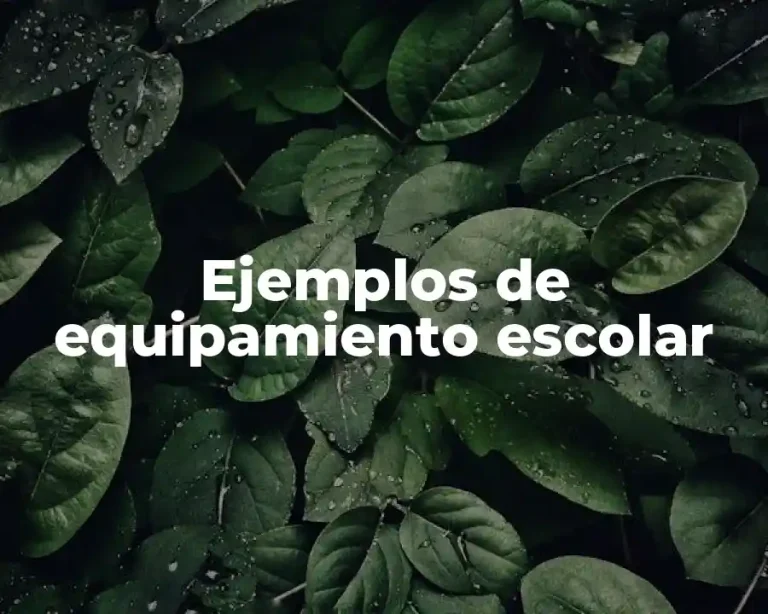 Ejemplos de equipamiento escolar