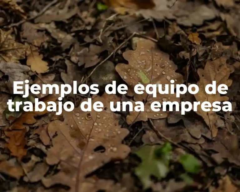 Ejemplos de equipo de trabajo de una empresa