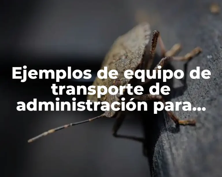 Ejemplos de equipo de transporte de administración para educación