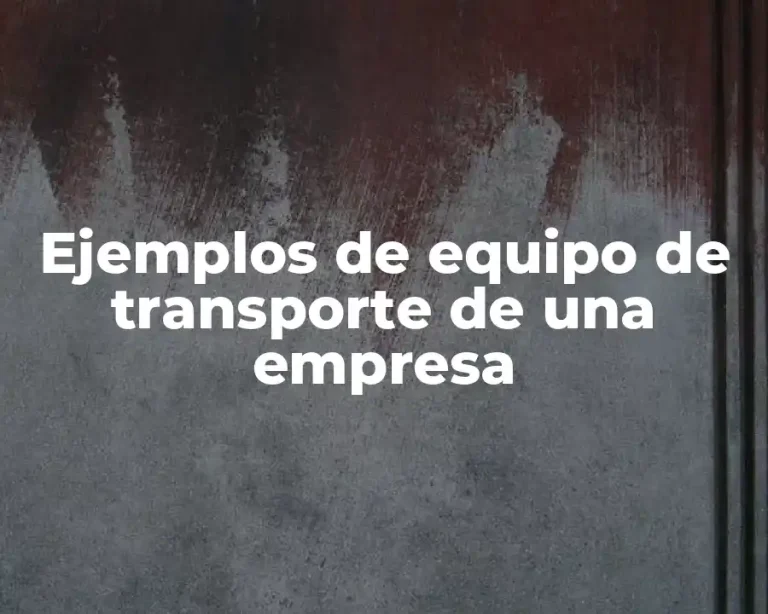 Ejemplos de equipo de transporte de una empresa
