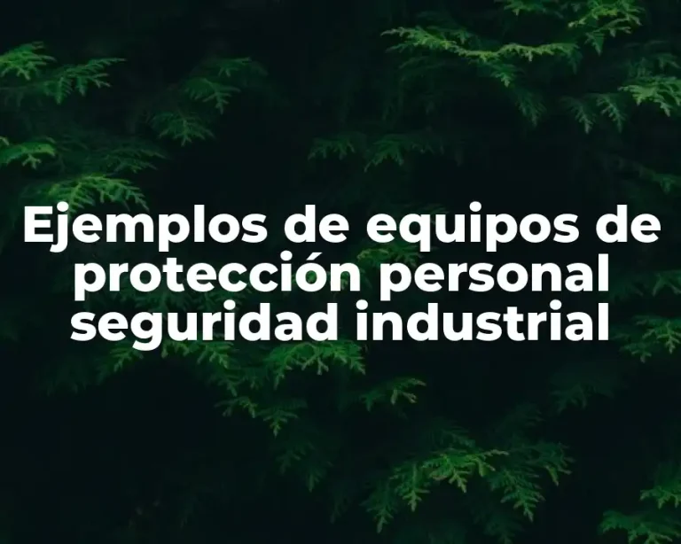 Ejemplos de equipos de protección personal seguridad industrial