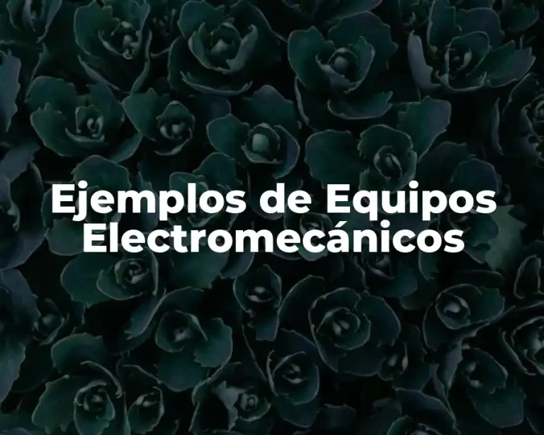 Ejemplos de Equipos Electromecánicos