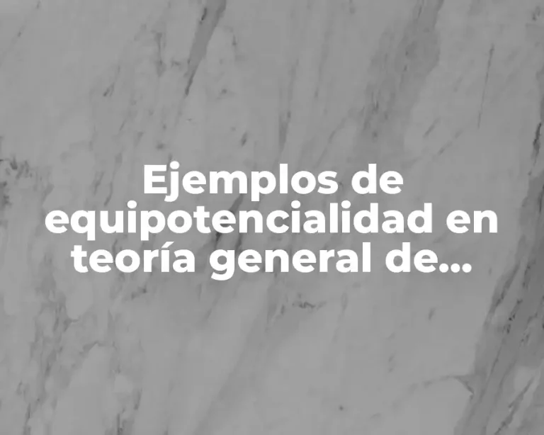 Ejemplos de equipotencialidad en teoría general de sistemas