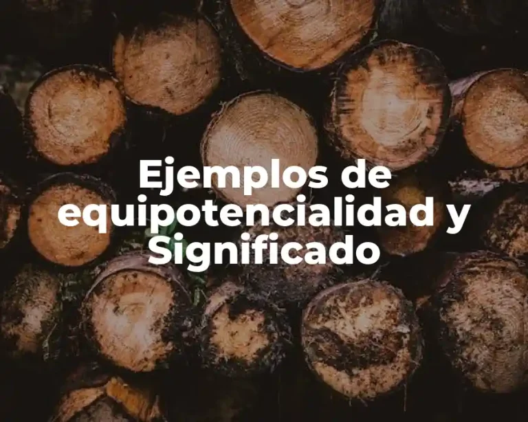 Ejemplos de equipotencialidad y Significado
