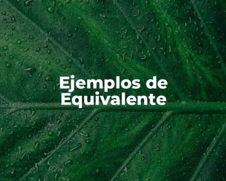 Ejemplos de Equivalente