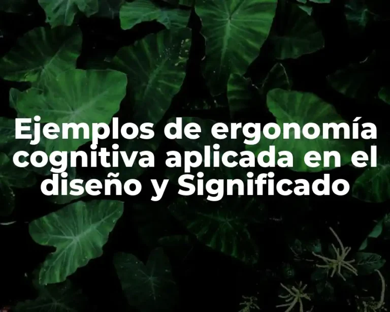 Ejemplos de ergonomía cognitiva aplicada en el diseño y Significado