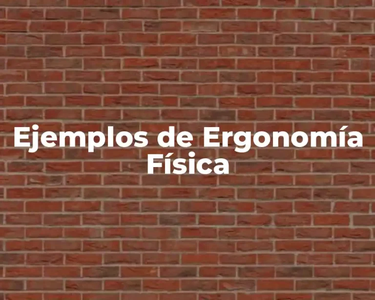 Ejemplos de Ergonomía Física
