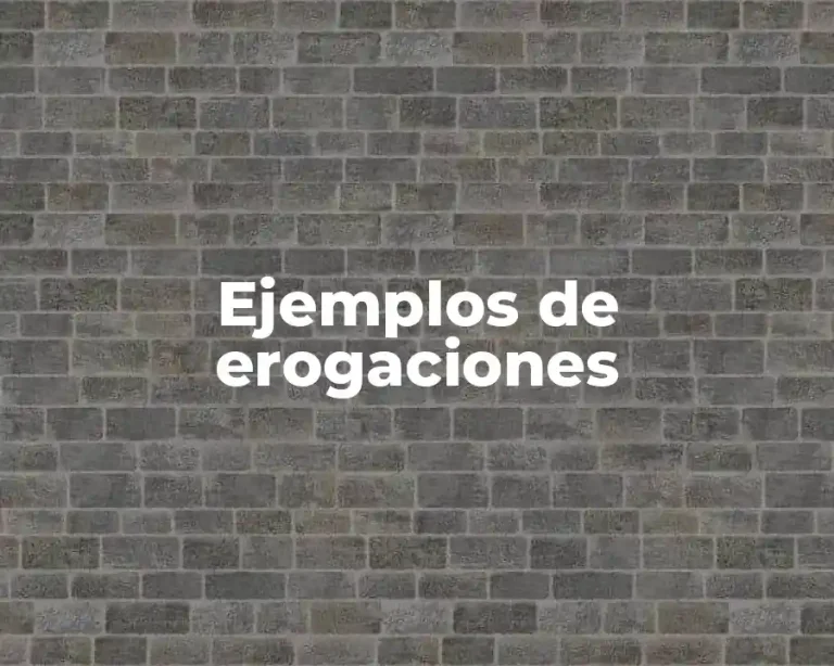 Ejemplos de erogaciones