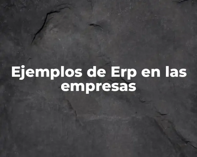 Ejemplos de Erp en las empresas