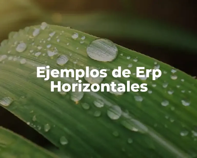 Ejemplos de Erp Horizontales