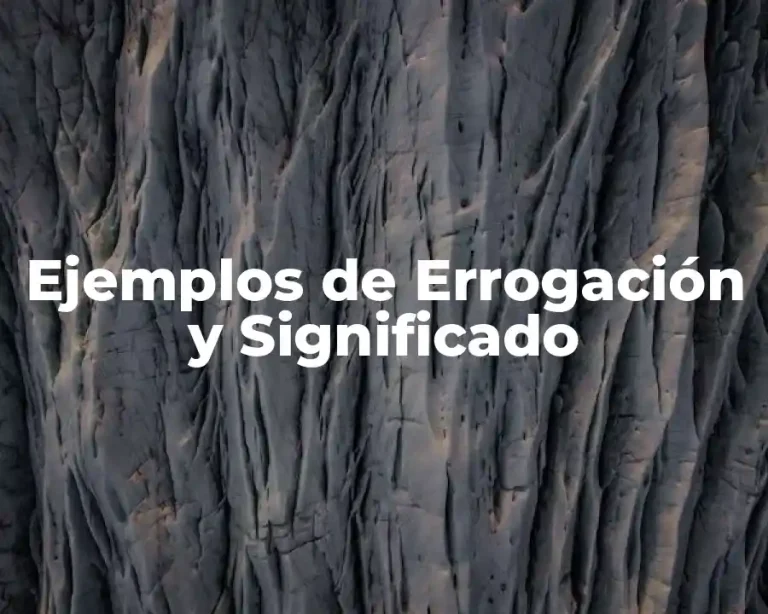 Ejemplos de Errogación y Significado