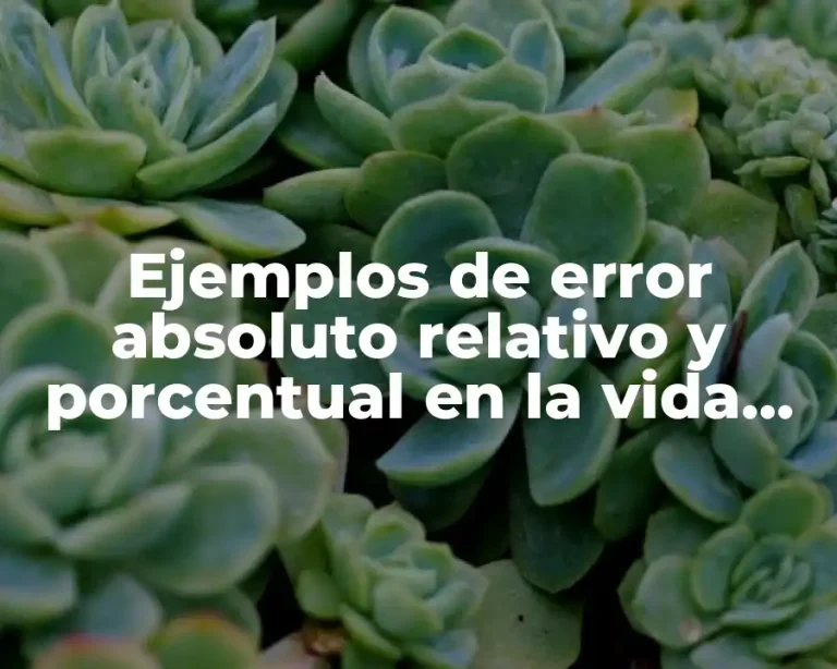 Ejemplos de error absoluto relativo y porcentual en la vida cotidiana