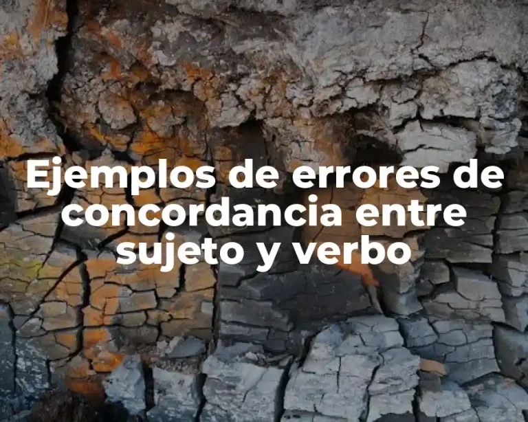 Ejemplos de errores de concordancia entre sujeto y verbo