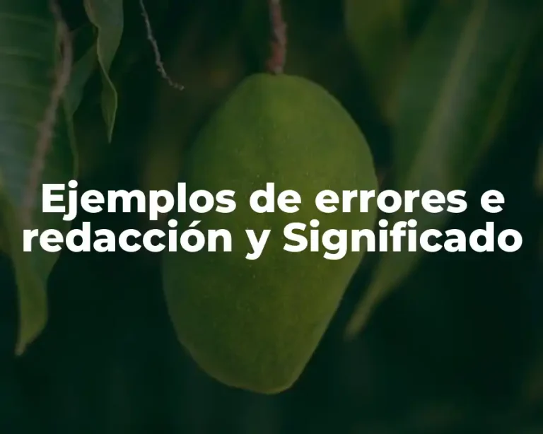 Ejemplos de errores e redacción y Significado