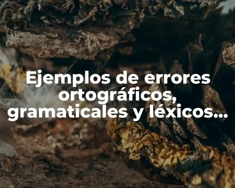 Ejemplos de errores ortográficos, gramaticales y léxicos de un texto