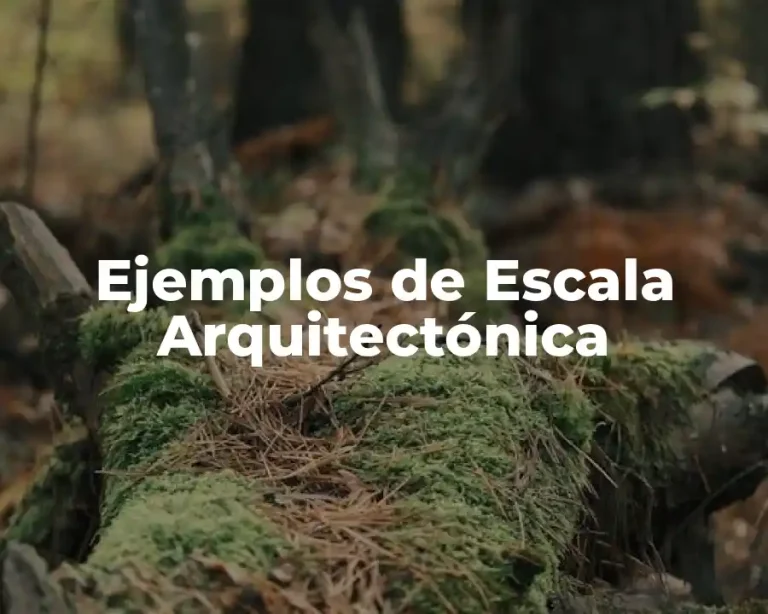 Ejemplos de Escala Arquitectónica