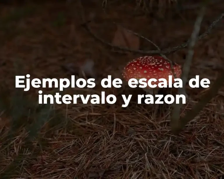 Ejemplos de escala de intervalo y razon
