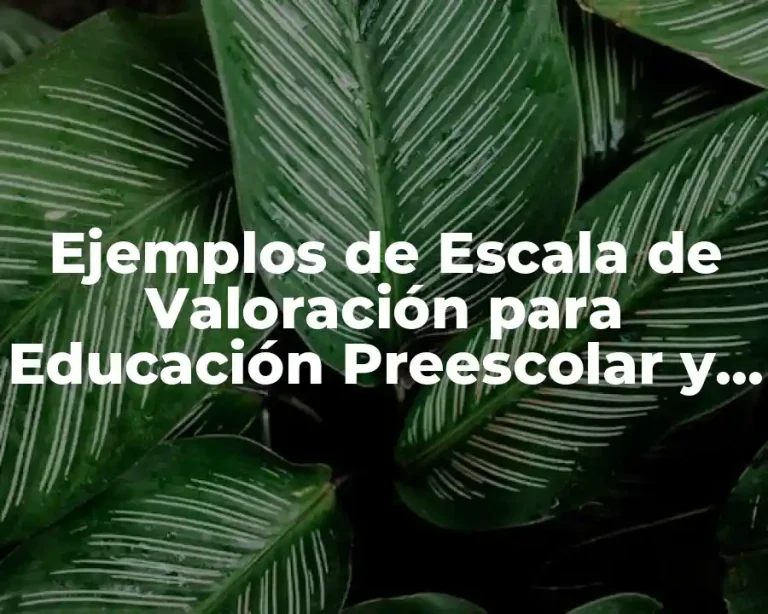 Ejemplos de Escala de Valoración para Educación Preescolar y Significado