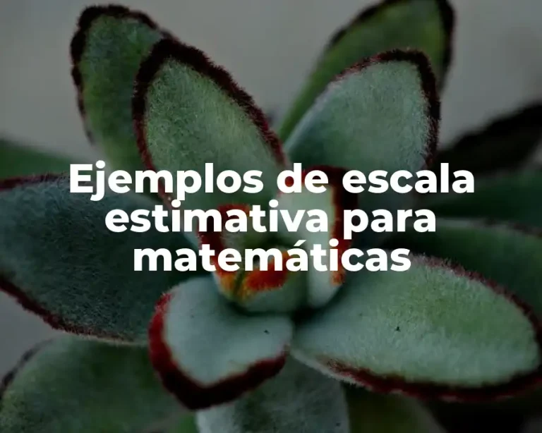 Ejemplos de escala estimativa para matemáticas
