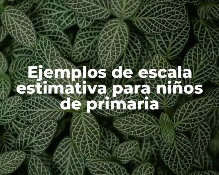 Ejemplos de escala estimativa para niños de primaria