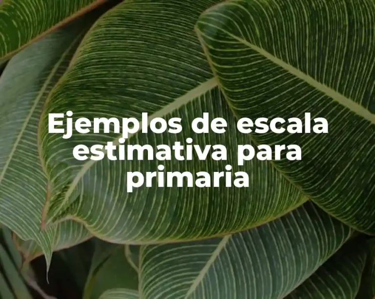 Ejemplos de escala estimativa para primaria
