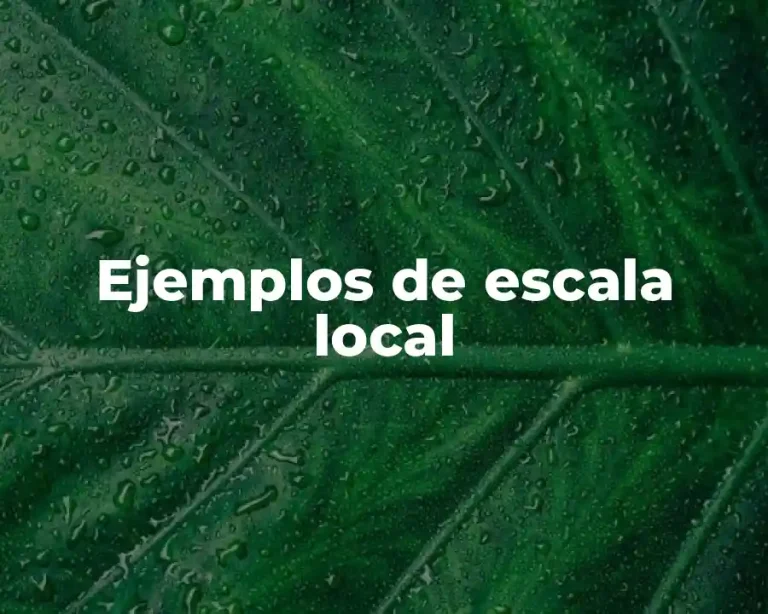 Ejemplos de escala local