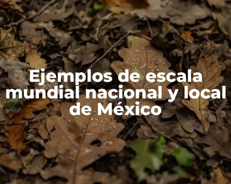 Ejemplos de escala mundial nacional y local de México