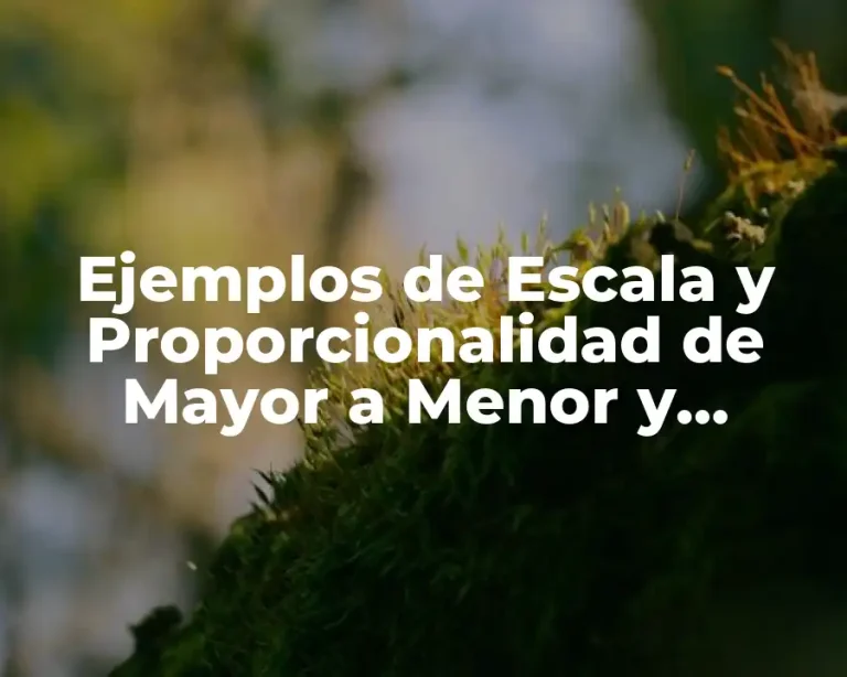 Ejemplos de Escala y Proporcionalidad de Mayor a Menor y Significado