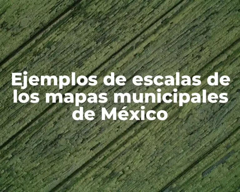 Ejemplos de escalas de los mapas municipales de México