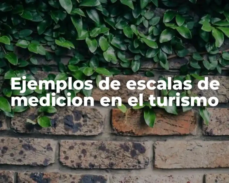 Ejemplos de escalas de medicion en el turismo