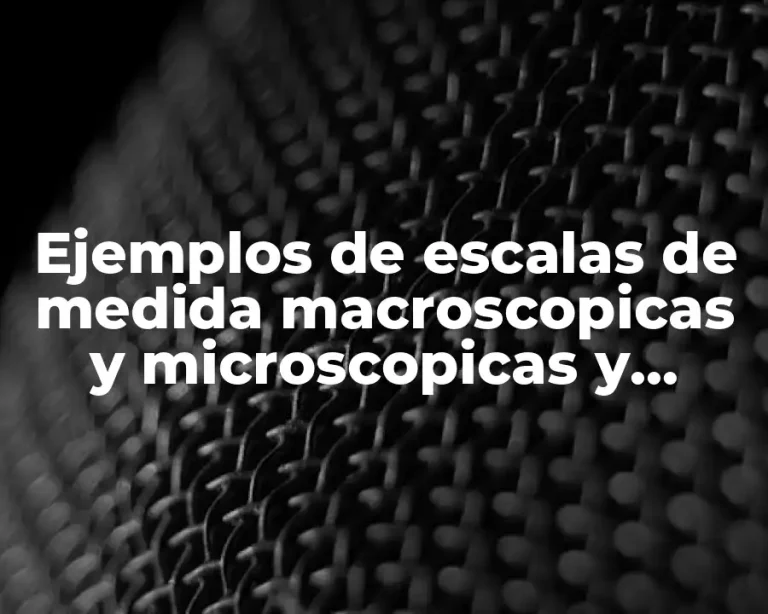 Ejemplos de escalas de medida macroscopicas y microscopicas y Significado