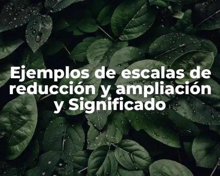 Ejemplos de escalas de reducción y ampliación y Significado
