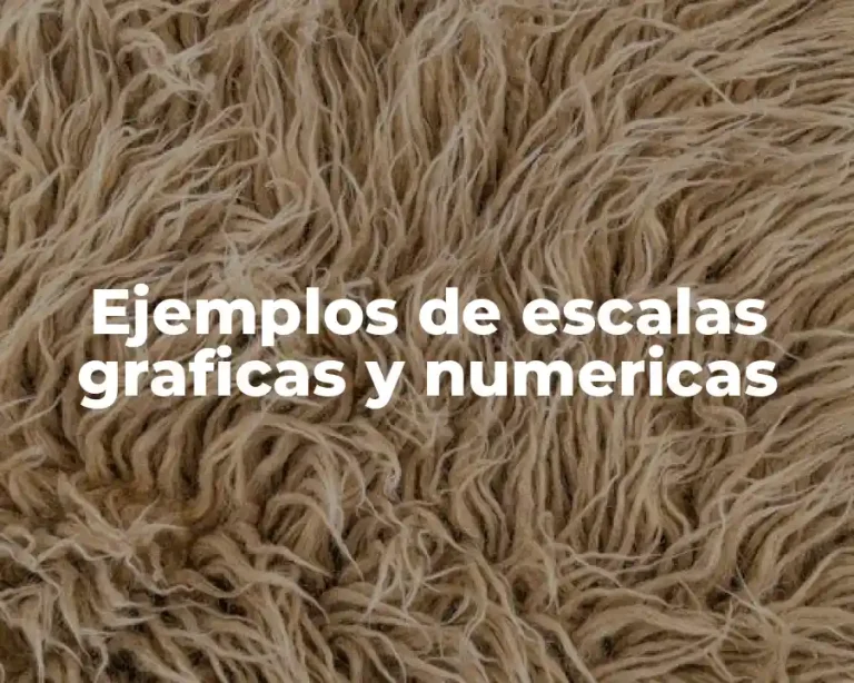 Ejemplos de escalas graficas y numericas