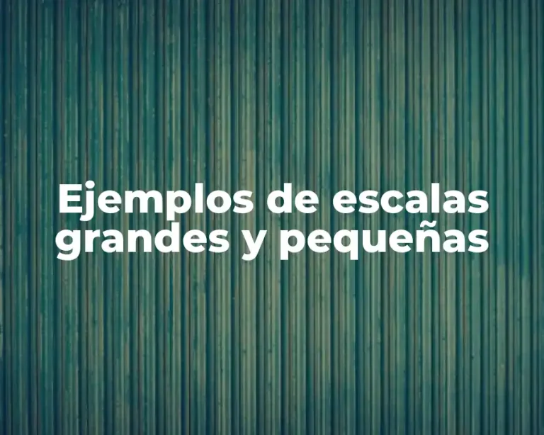 Ejemplos de escalas grandes y pequeñas