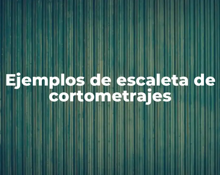 Ejemplos de escaleta de cortometrajes