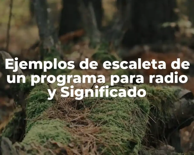 Ejemplos de escaleta de un programa para radio y Significado