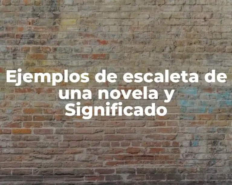 Ejemplos de escaleta de una novela y Significado