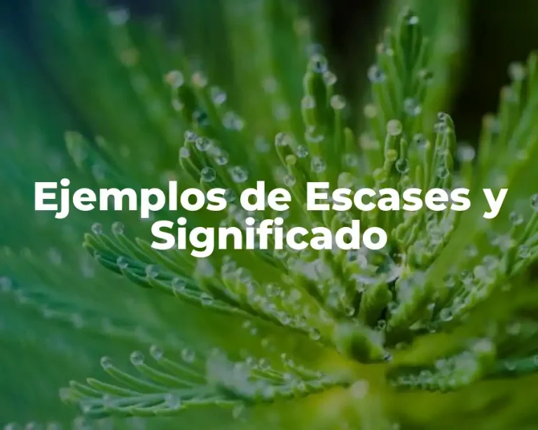 Ejemplos de Escases y Significado