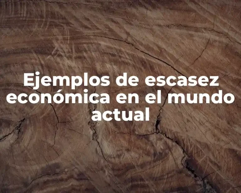 Ejemplos de escasez económica en el mundo actual