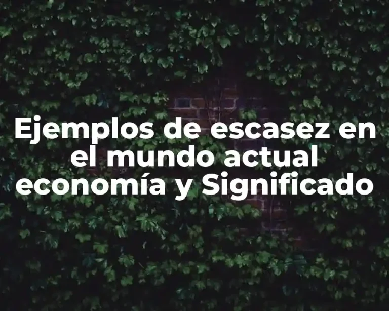Ejemplos de escasez en el mundo actual economía y Significado