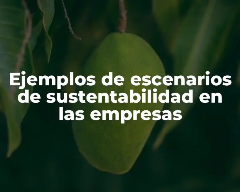 Ejemplos de escenarios de sustentabilidad en las empresas