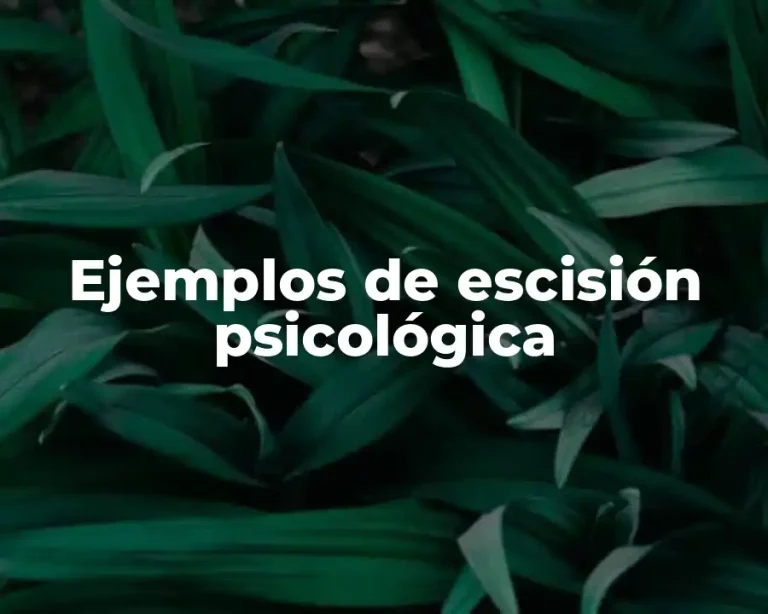 Ejemplos de escisión psicológica
