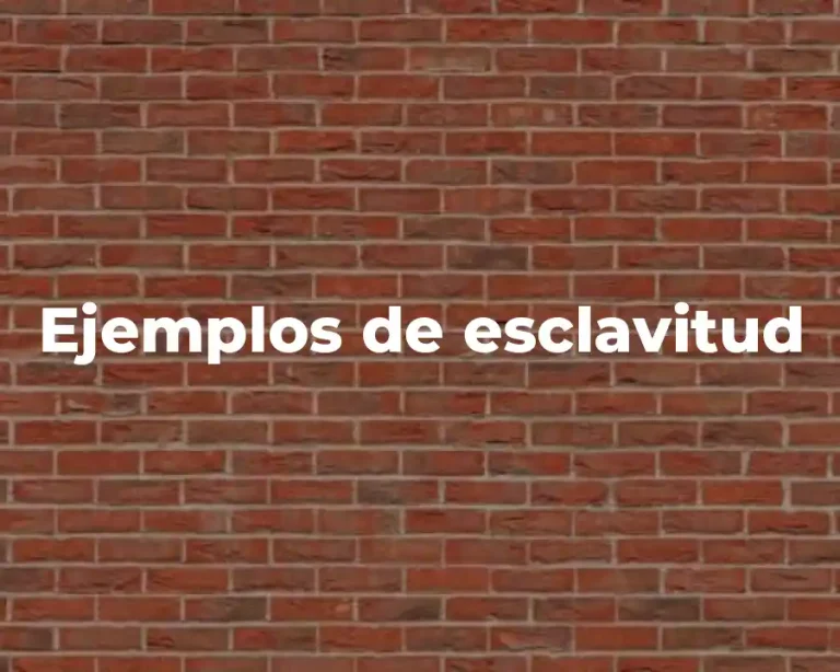 Ejemplos de esclavitud