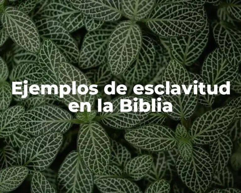 Ejemplos de esclavitud en la Biblia
