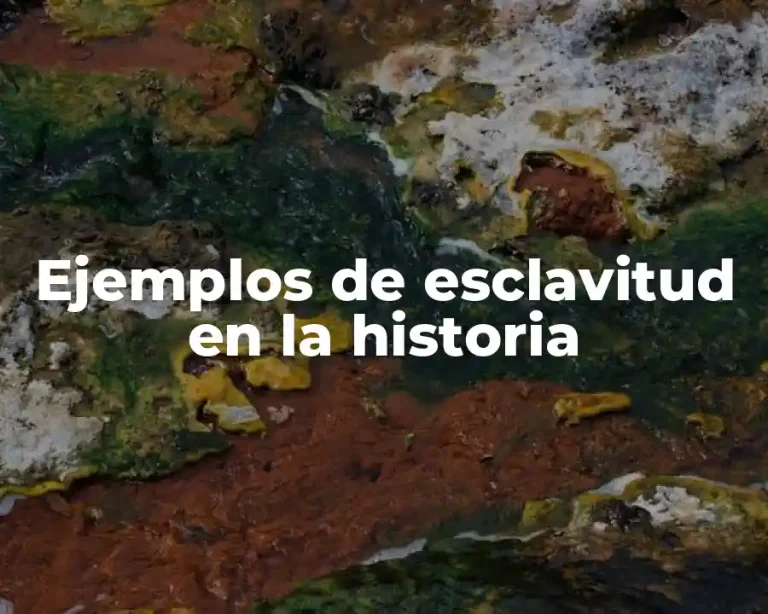 Ejemplos de esclavitud en la historia