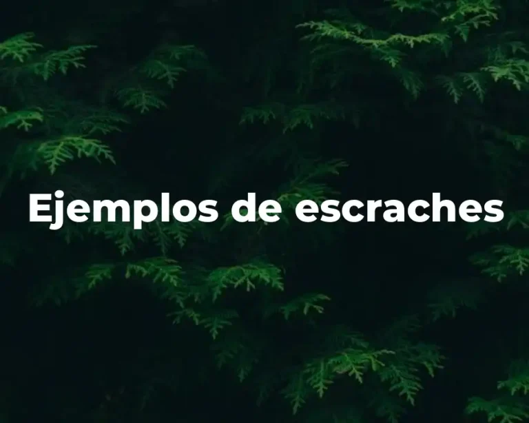 Ejemplos de escraches