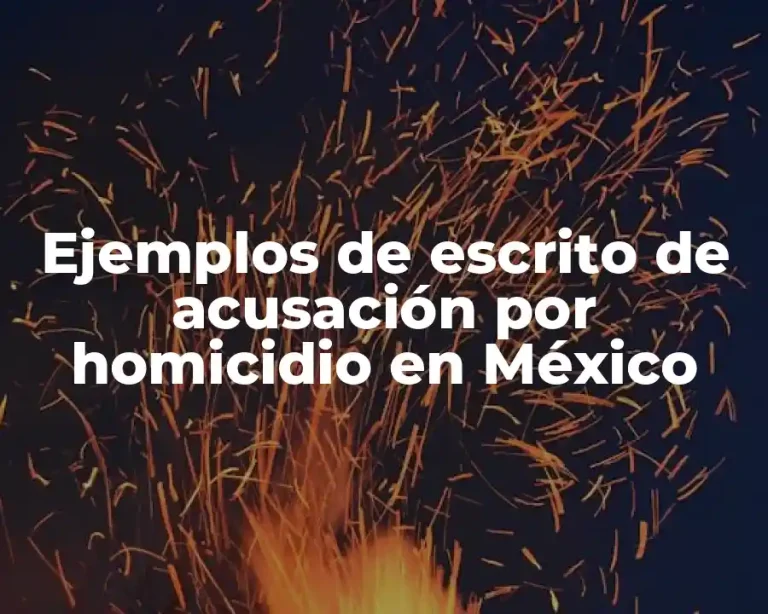 Ejemplos de escrito de acusación por homicidio en México