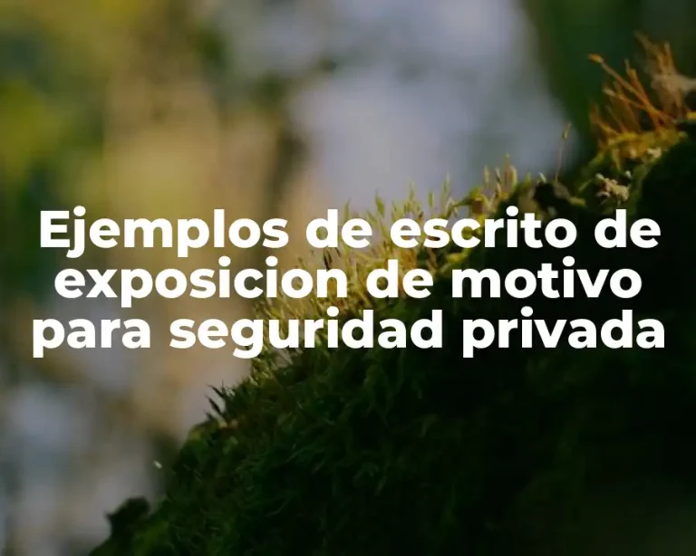 Ejemplos de escrito de exposicion de motivo para seguridad privada