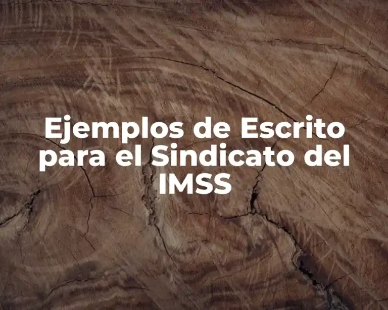 Ejemplos de Escrito para el Sindicato del IMSS